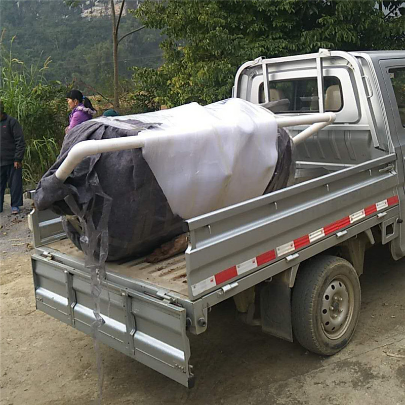 5吨不锈钢机械过滤器发往广西大新县